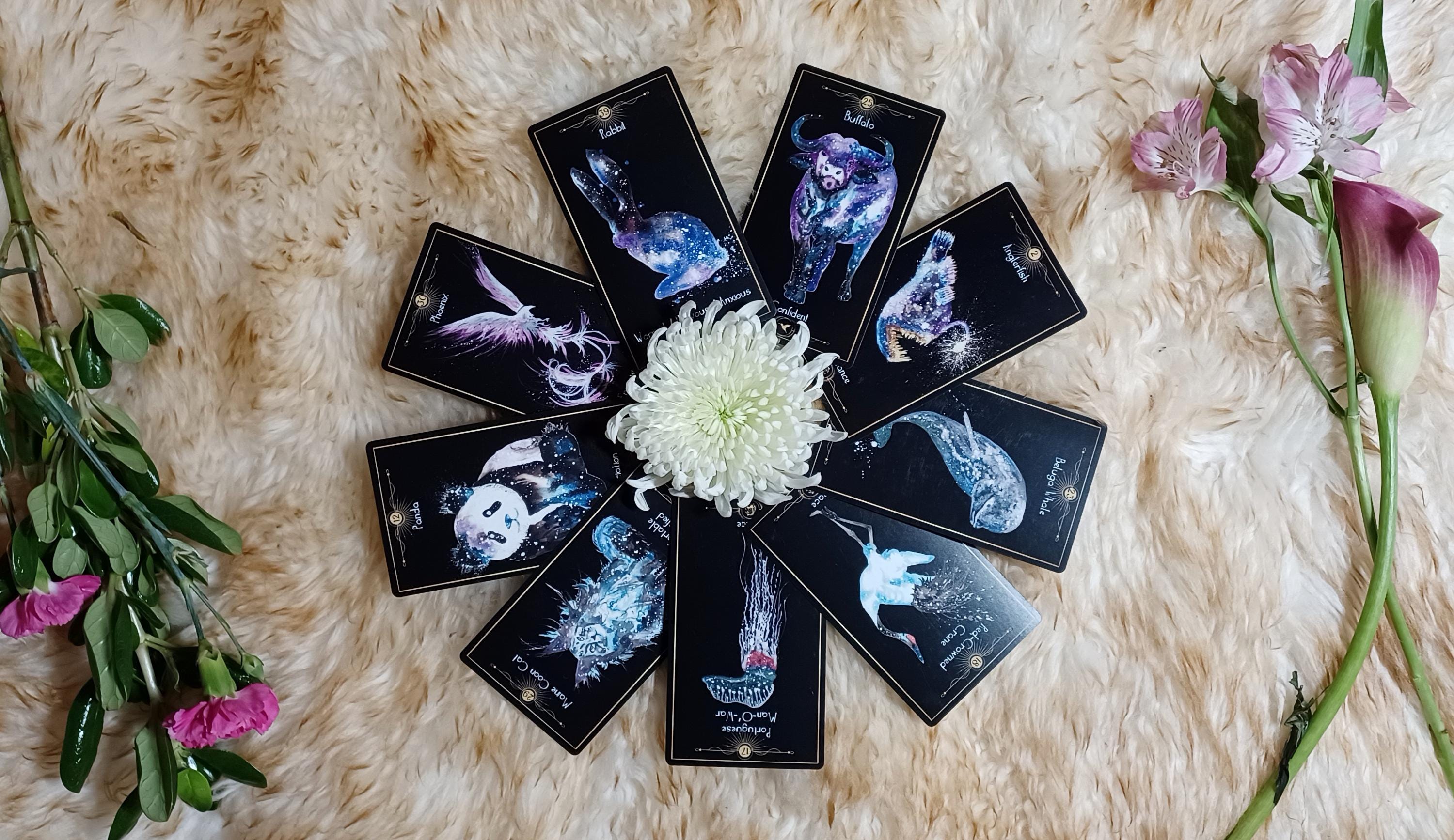 Cosmic Animal Cards & Guidebook - Oracle Deck for Emotional Intelligence