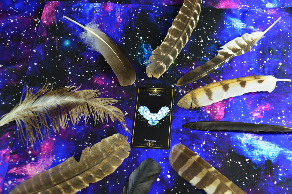 Cosmic Animal Cards & Guidebook - Oracle Deck for Emotional Intelligence