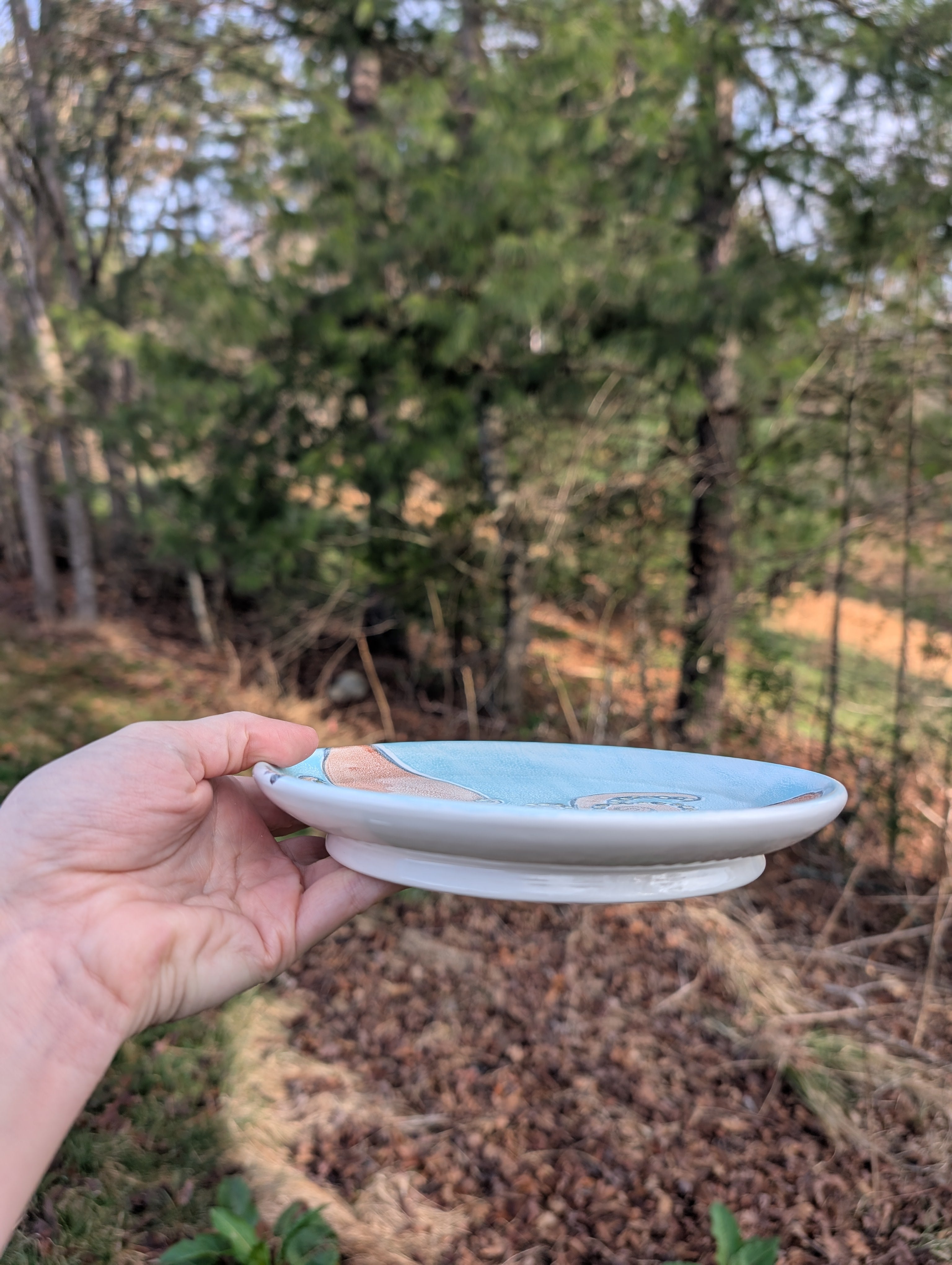 #9 Majolica Octopus Desert Plate