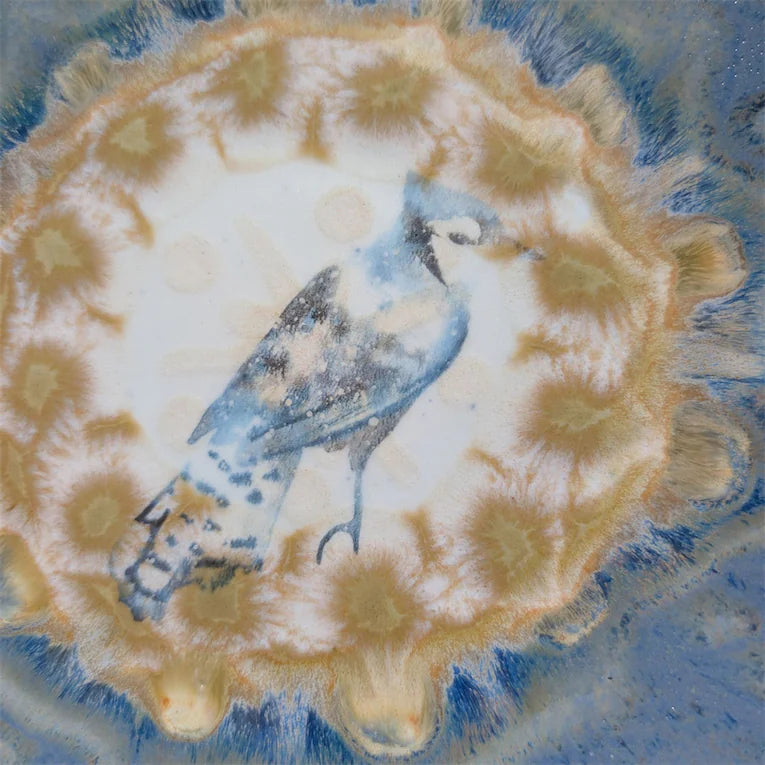 Blue Jay Dinner Plate, 10.5 inch