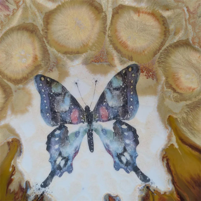 Butterfly Dinner Plate, 10.5 inch