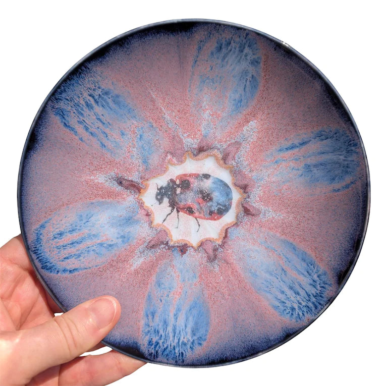 Ladybug, Snack Plate, 6 inch