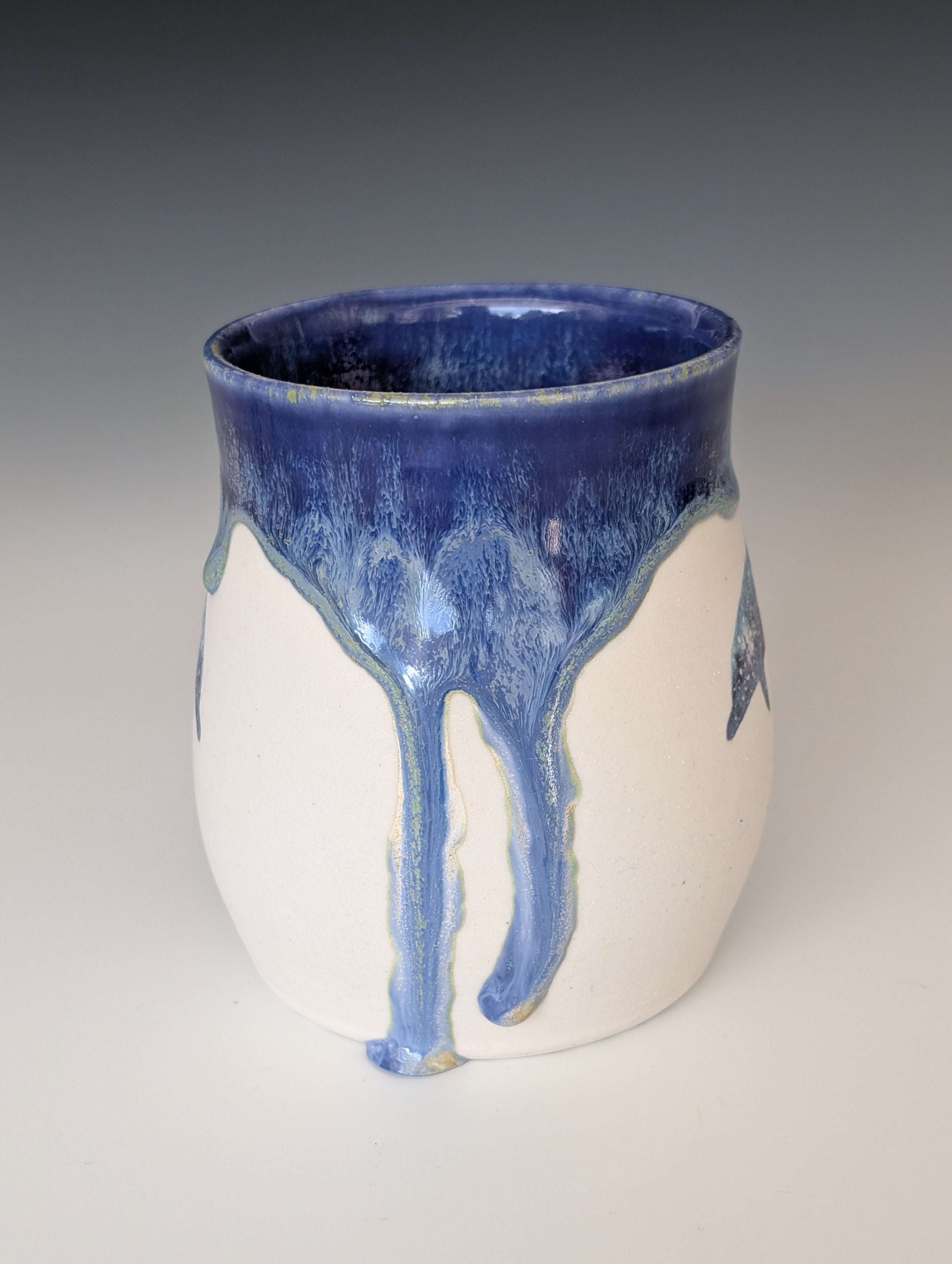 16oz Porcelain Mug - Dolphin (Watercolor)
