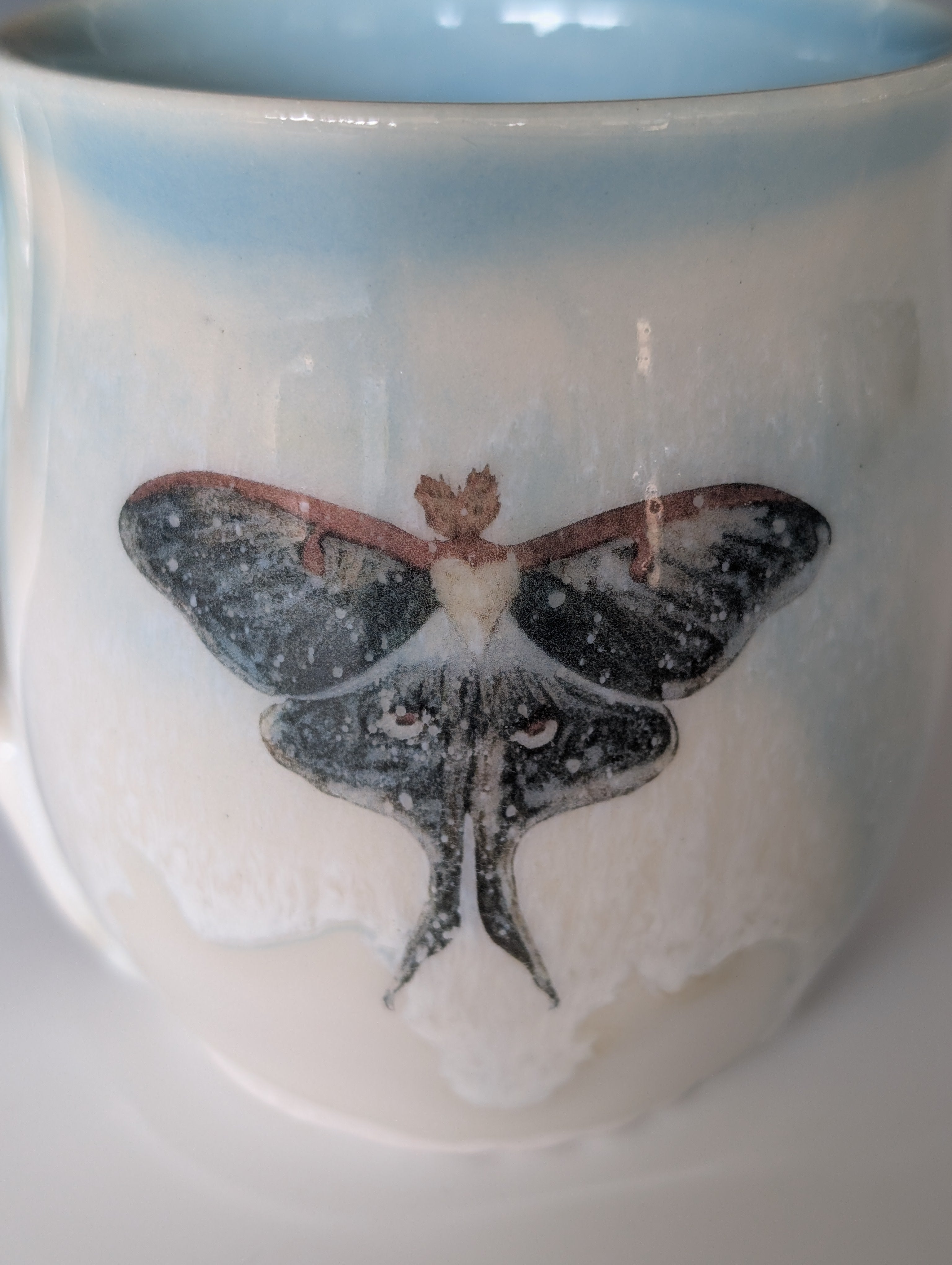 12oz Porcelain Mug - Luna Moth (Watercolor)